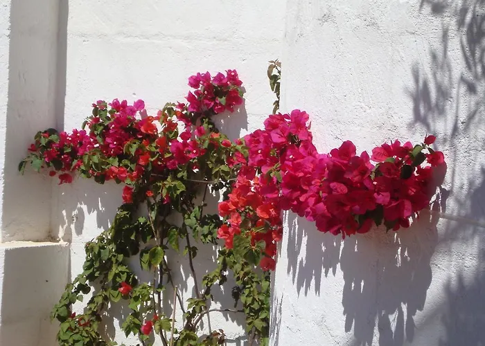 Hébergement de vacances Masseria Bianca Di Puglia Monopoli