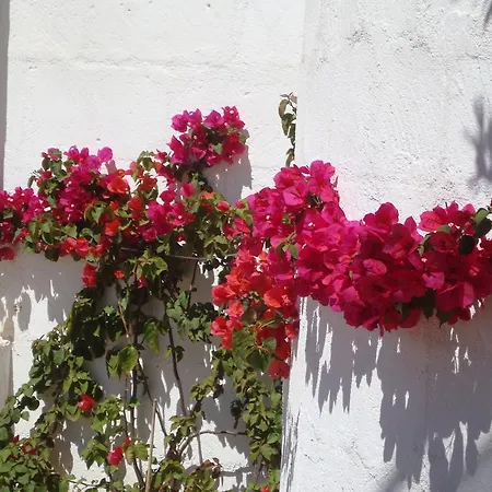 Casa vacanze Masseria Bianca Di Puglia Monopoli